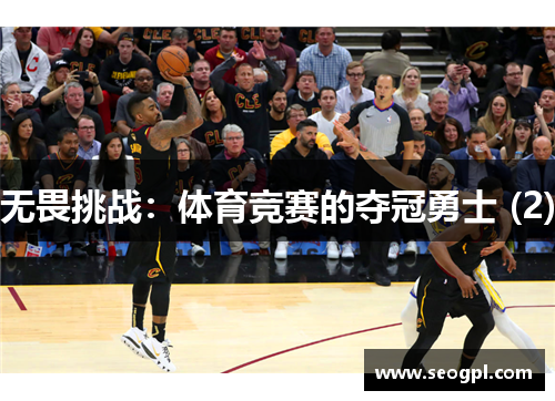 无畏挑战：体育竞赛的夺冠勇士 (2)