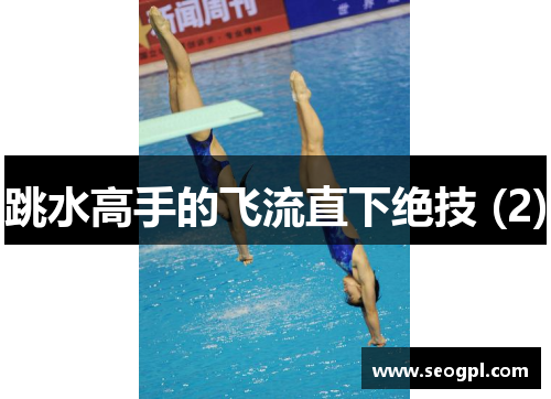 跳水高手的飞流直下绝技 (2)